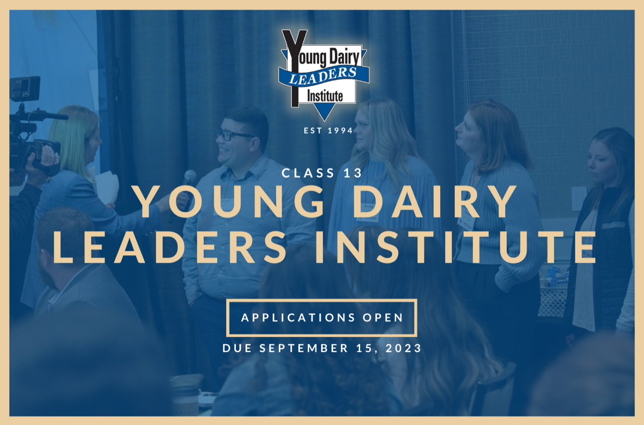 YDLI class 13 available here