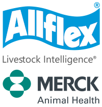 allflex