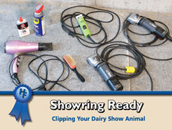 Clipping Your Dairy Show Animal